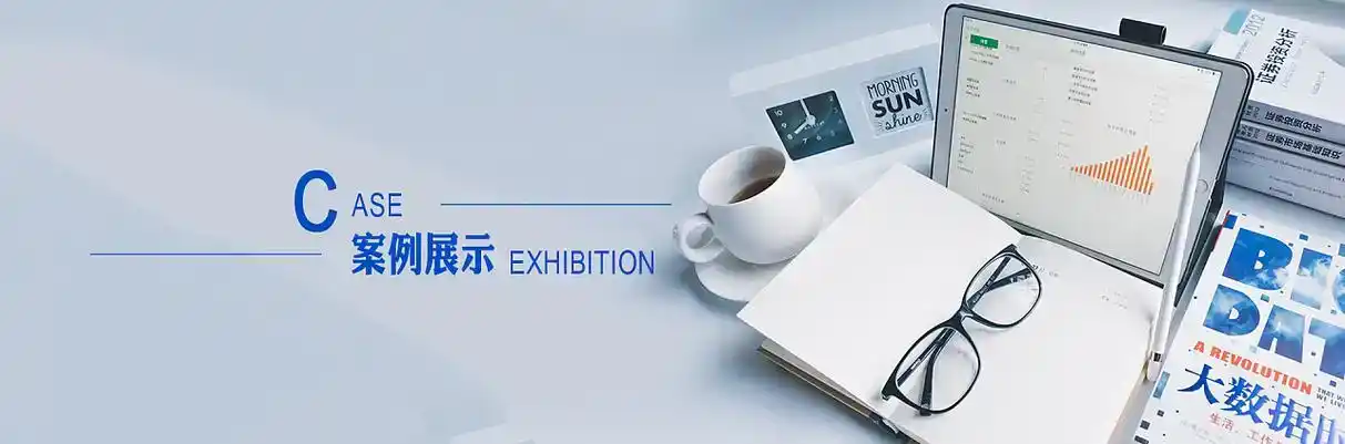 西区软件开发